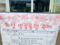 2025년 4월 4일 태양 관측